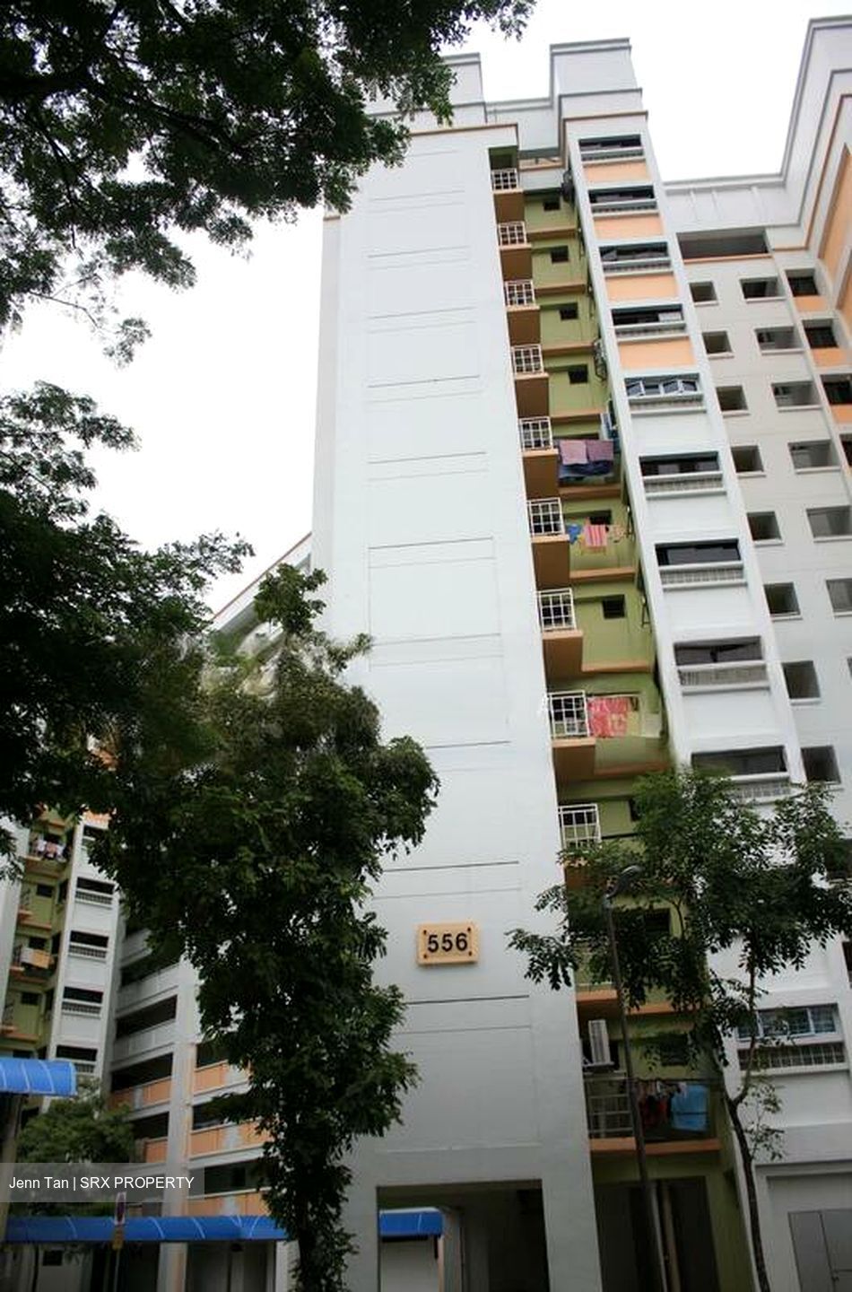 Blk 556 Woodlands Drive 53 (Woodlands), HDB 4 Rooms #503921591